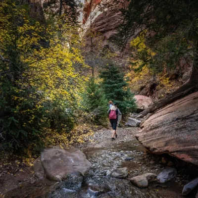 a person walking down a dirt road