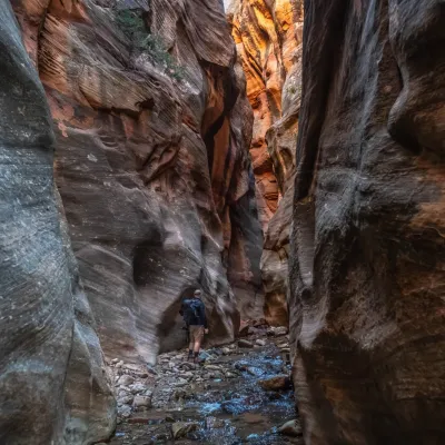 a large waterfall next to a tree