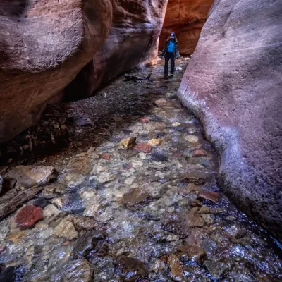 a close up of a rock