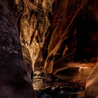 a waterfall with trees in the background