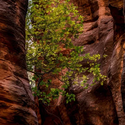 a close up of a canyon