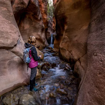 a group of people standing next to a waterfall