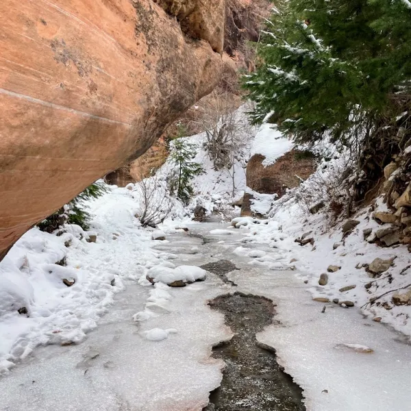 a close up of a rock in the snow