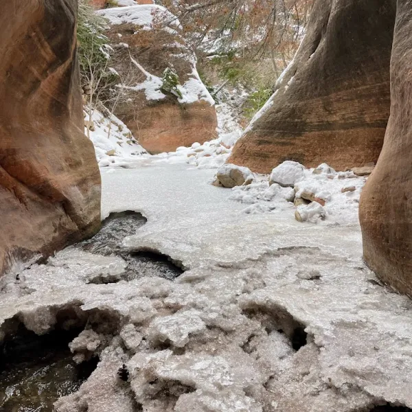 a close up of a rock