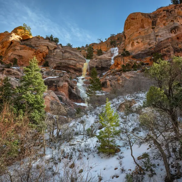 a rocky mountain with trees in the background