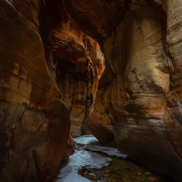 a close up of a large rock