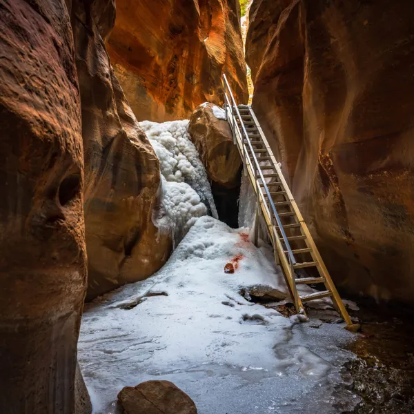 a close up of a rock
