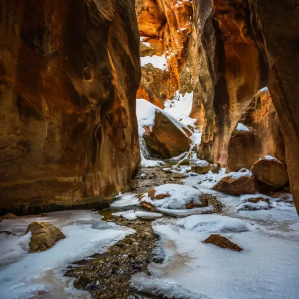 a person standing next to Zion National Park