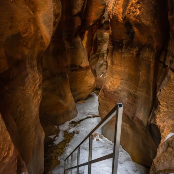 a close up of a cave
