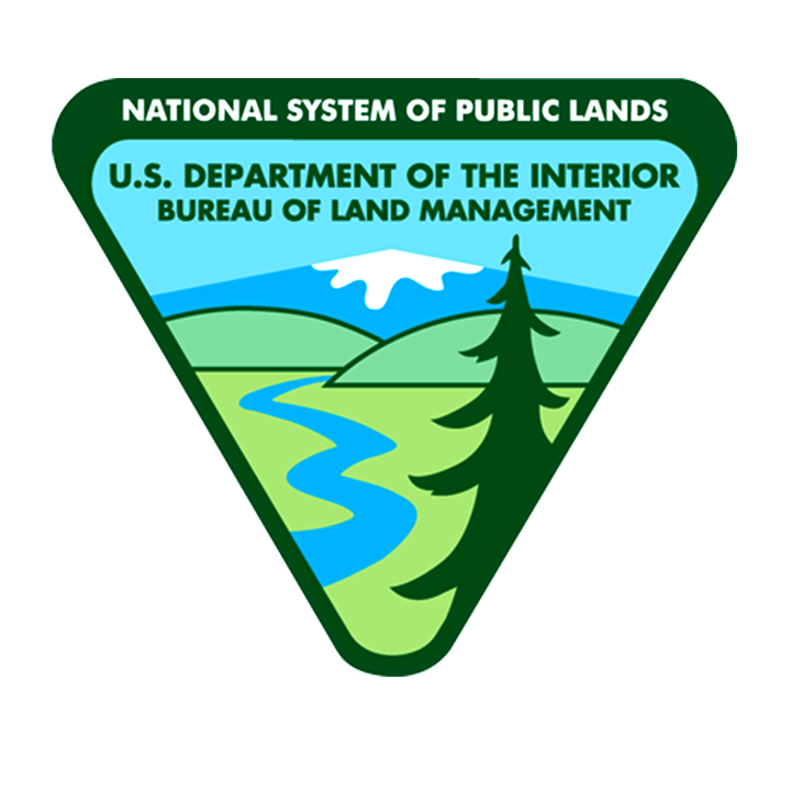 NSP icon